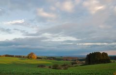 Herbstnachmittag