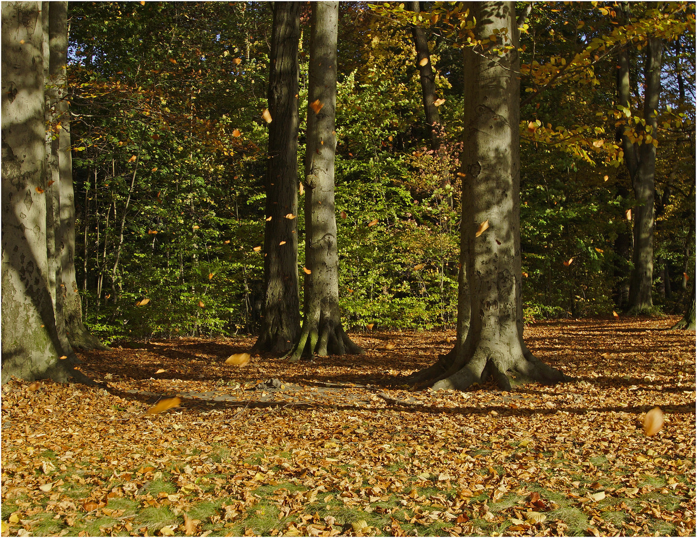 Herbstnachmittag