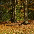 Herbstnachmittag