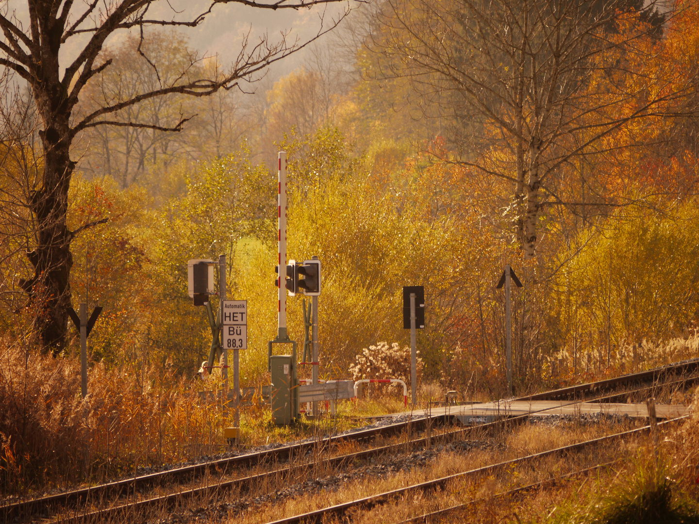 Herbstnachmittag im Allgäu