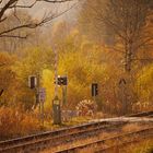 Herbstnachmittag im Allgäu