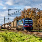 Herbstnachmittag in blau