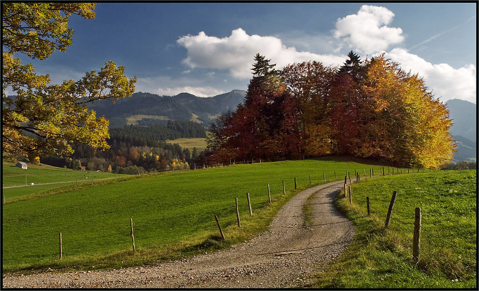 Herbstnachschlag aus dem Allgäu ...