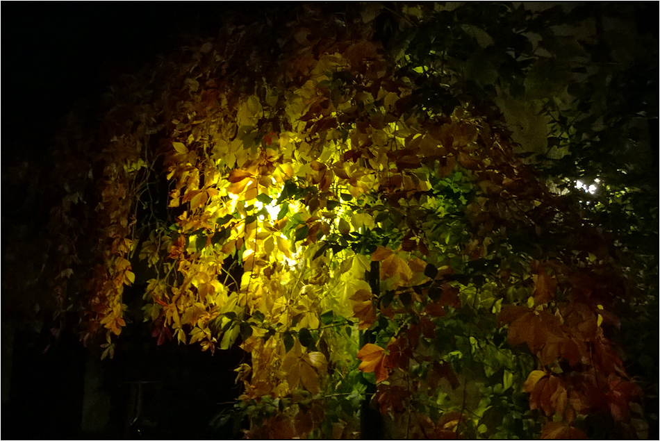 Herbstnacht
