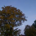 Herbstnacht