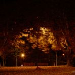 Herbstnacht