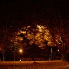 Herbstnacht