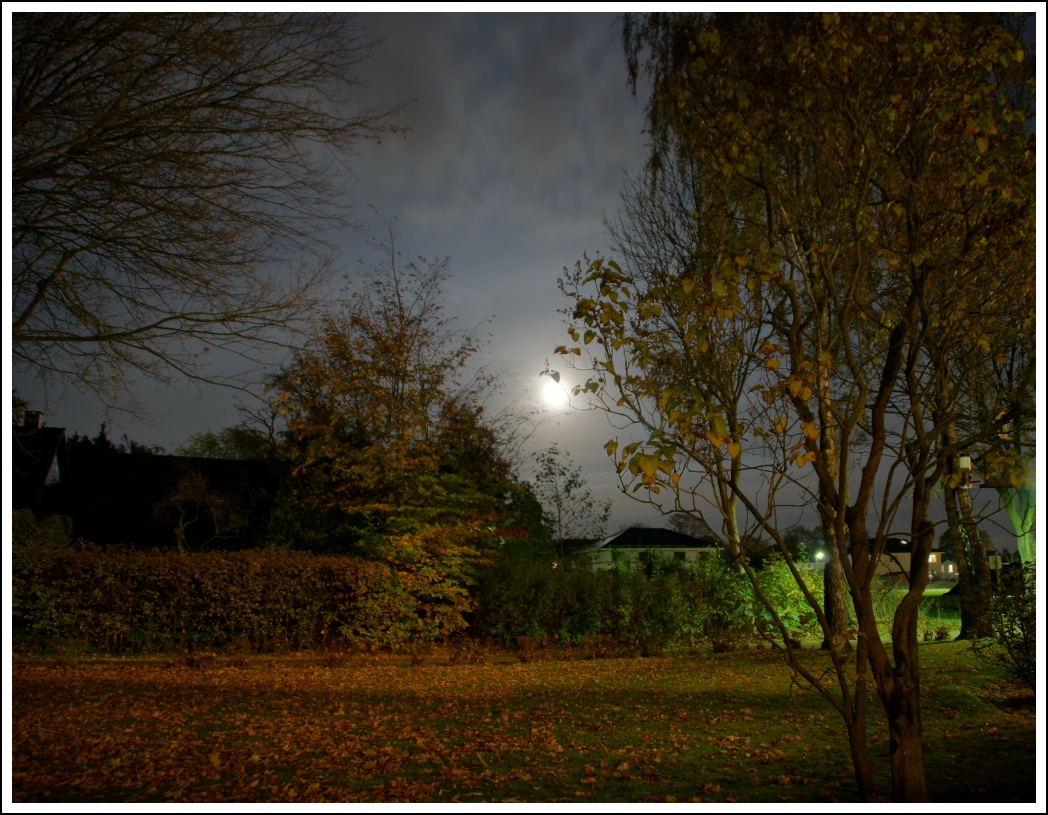 Herbstnacht