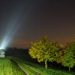 Herbstnachtlichter...