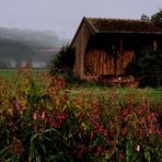 Herbstnähe ...