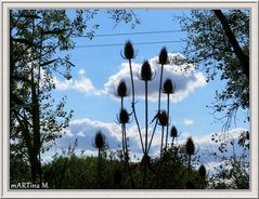 Herbstnähe  (mit Gedicht)