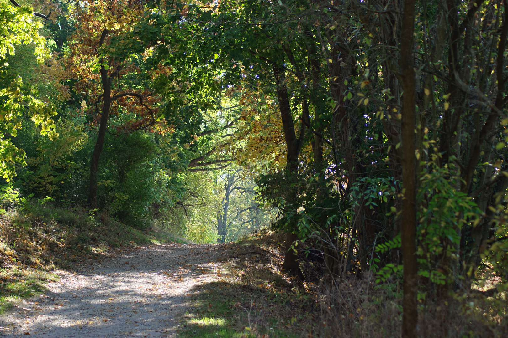 Herbstnatur in der Uckermark