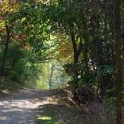 Herbstnatur in der Uckermark