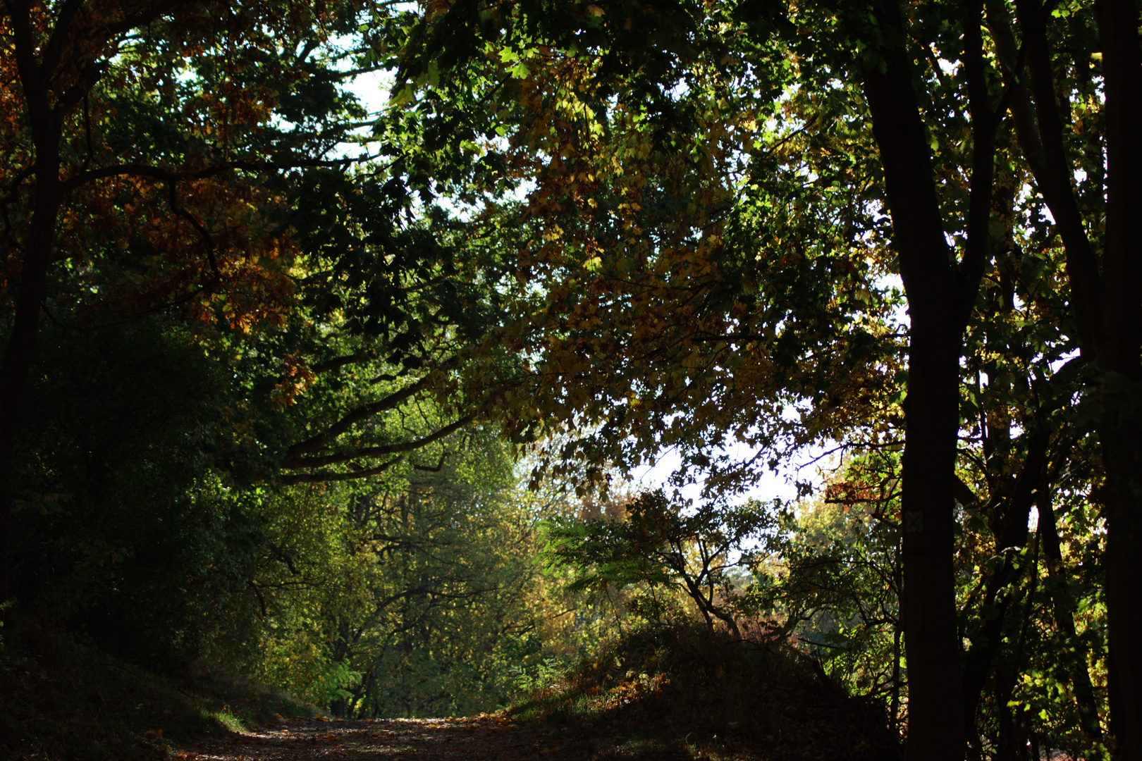 Herbstnatur in der Uckermark