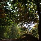 Herbstnatur in der Uckermark