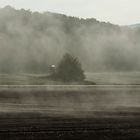 Herbstnebel