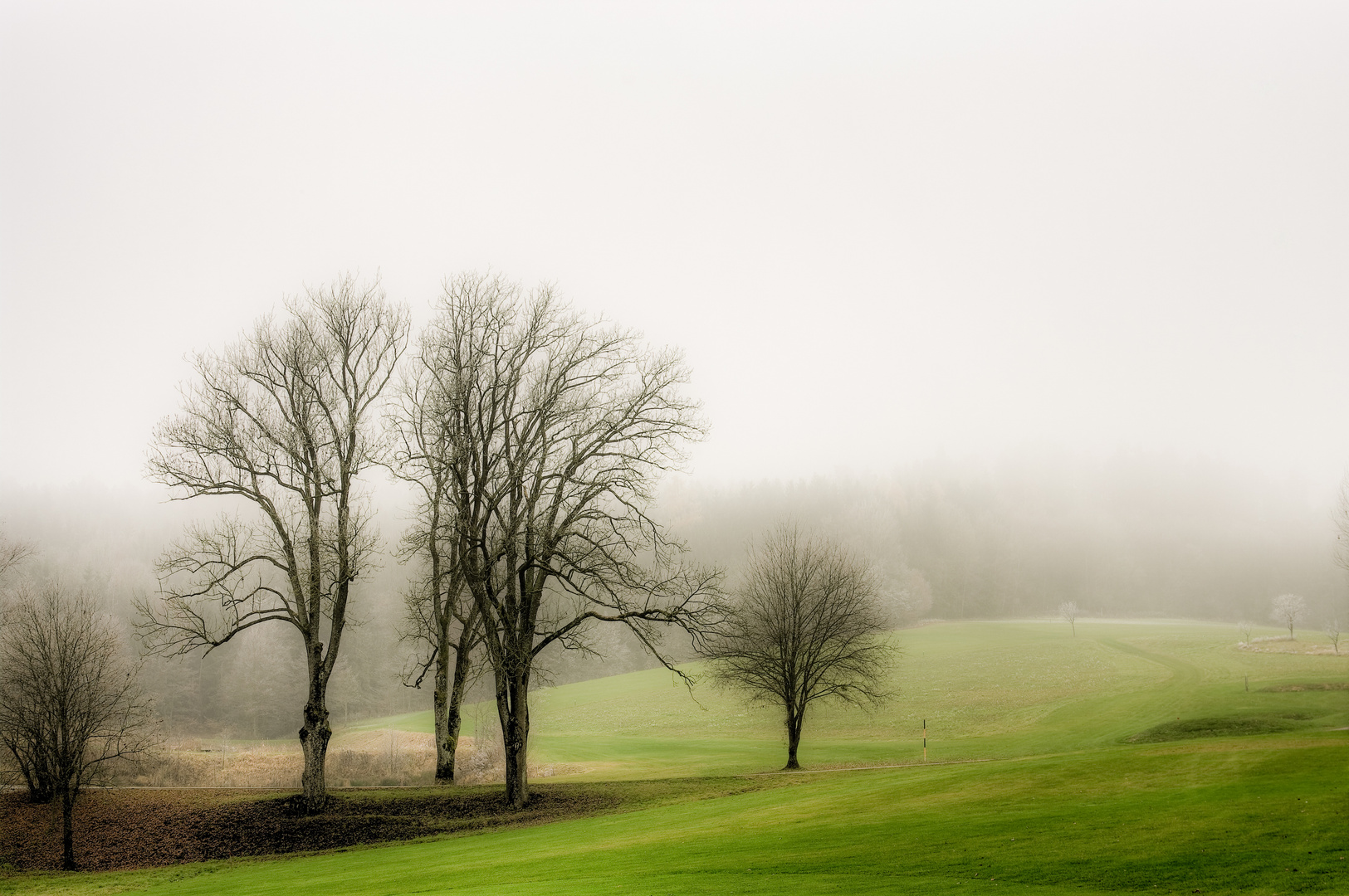 Herbstnebel