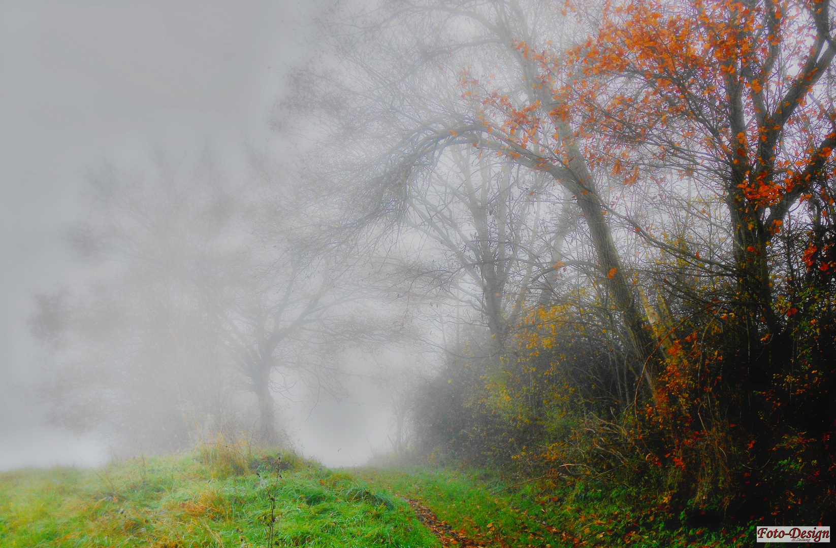 Herbstnebel