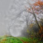 Herbstnebel