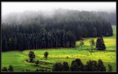 Herbstnebel