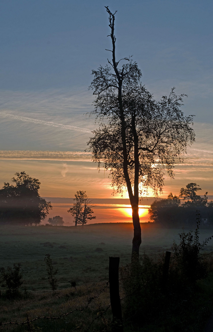 Herbstnebel