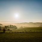 Herbstnebel