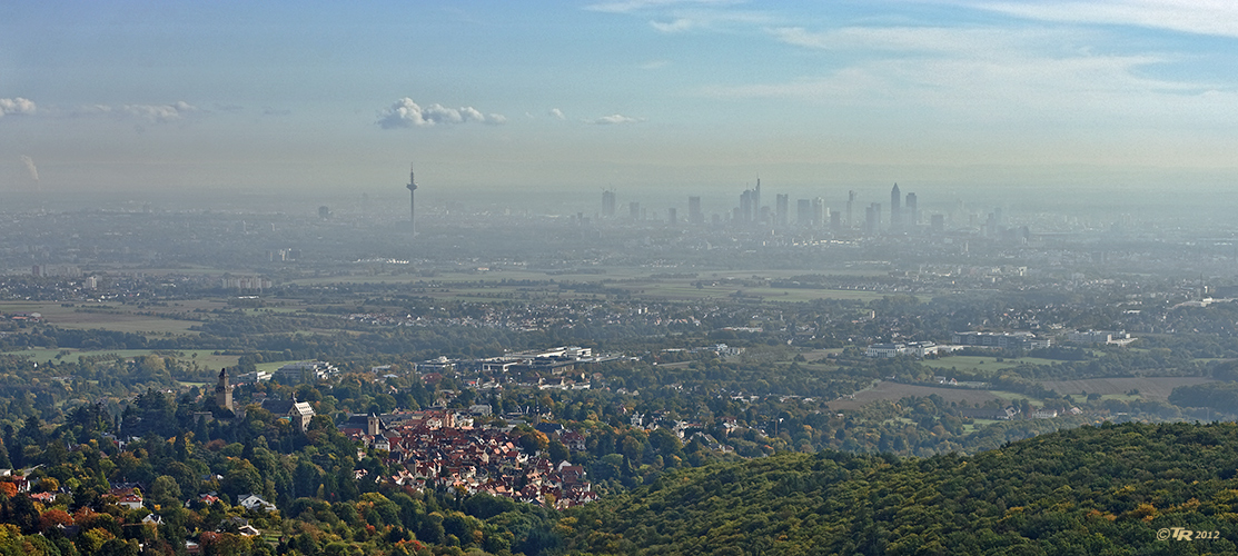 Herbstnebel