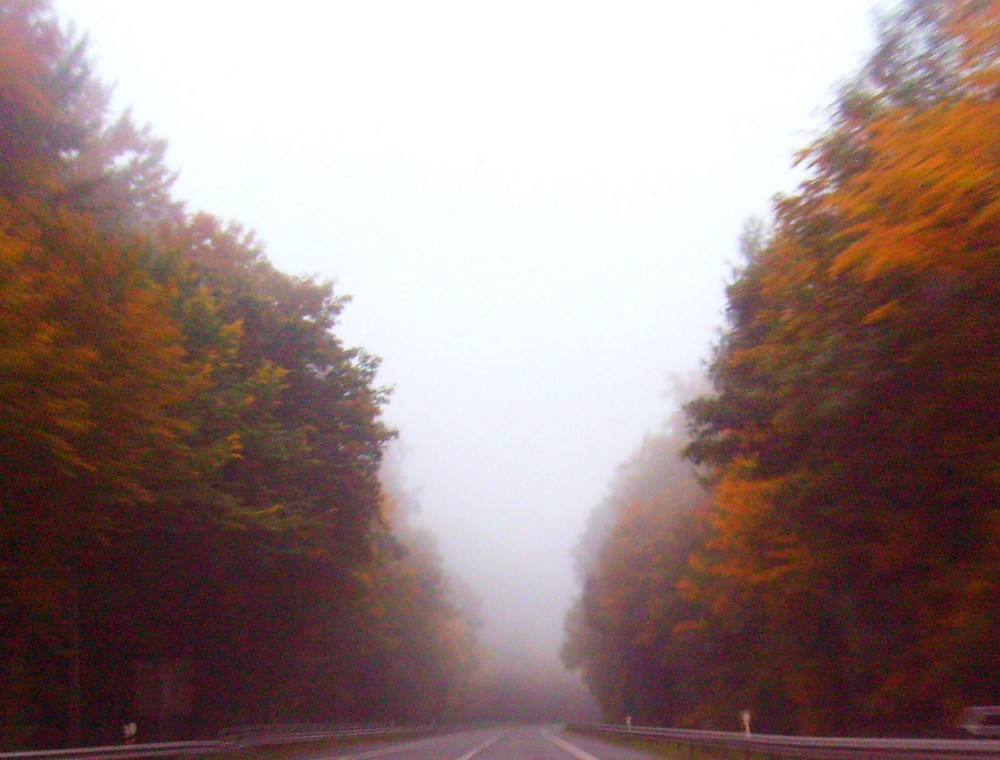 Herbstnebel....