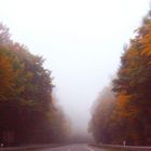 Herbstnebel....