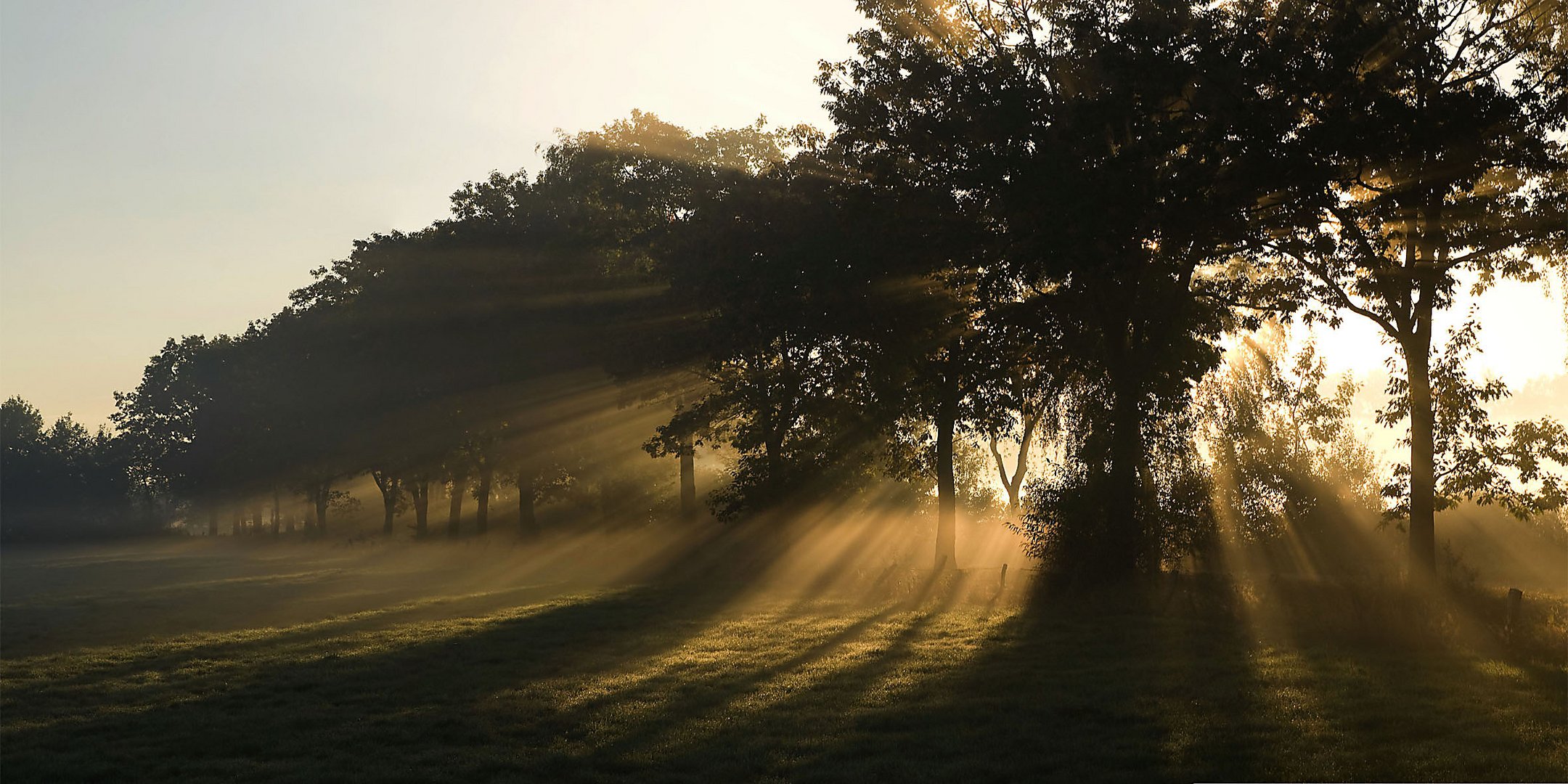 Herbstnebel