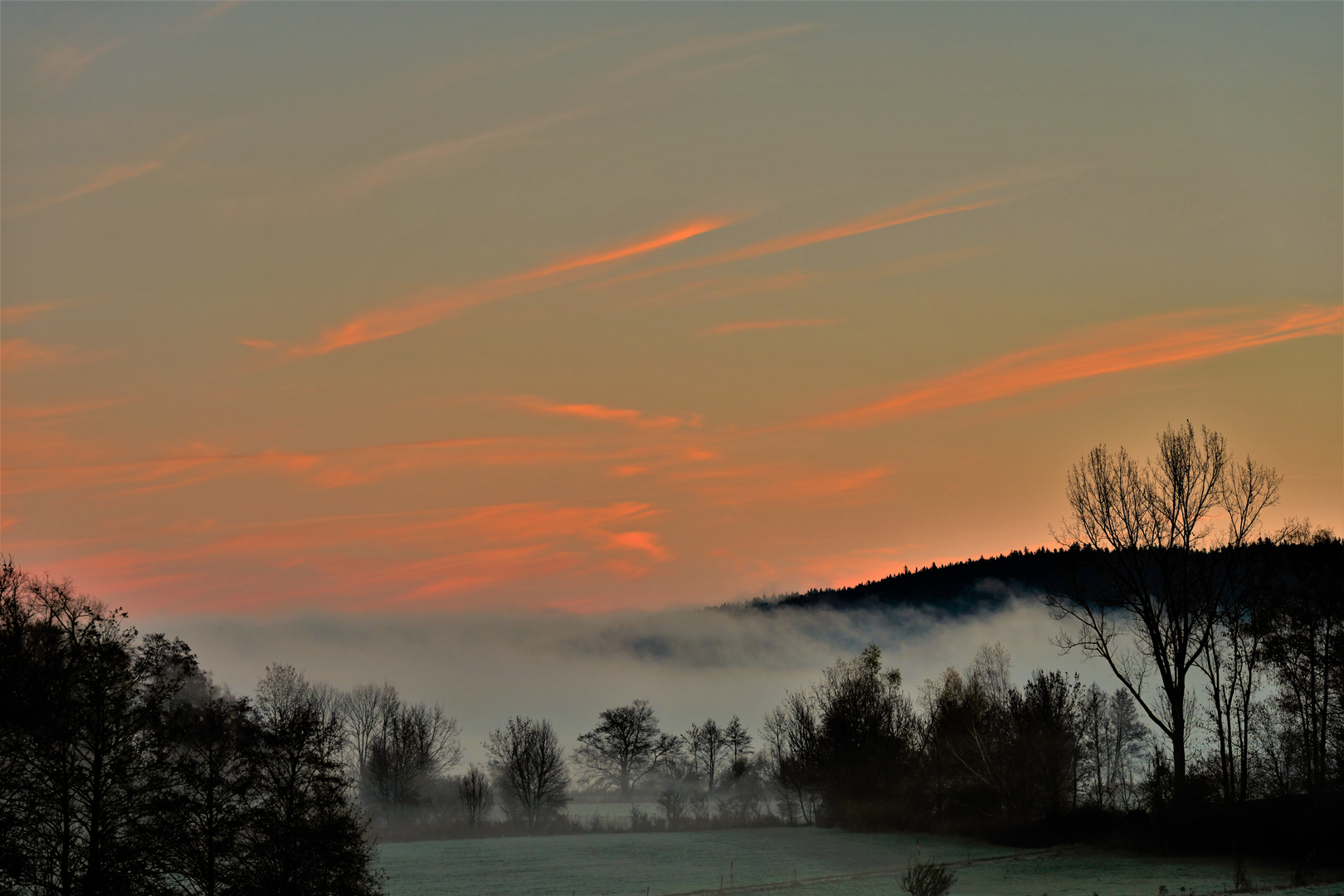 Herbstnebel