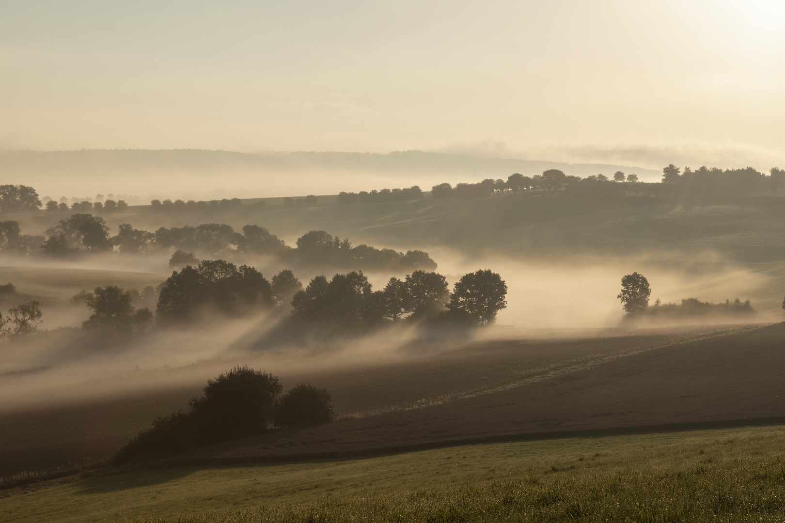 Herbstnebel