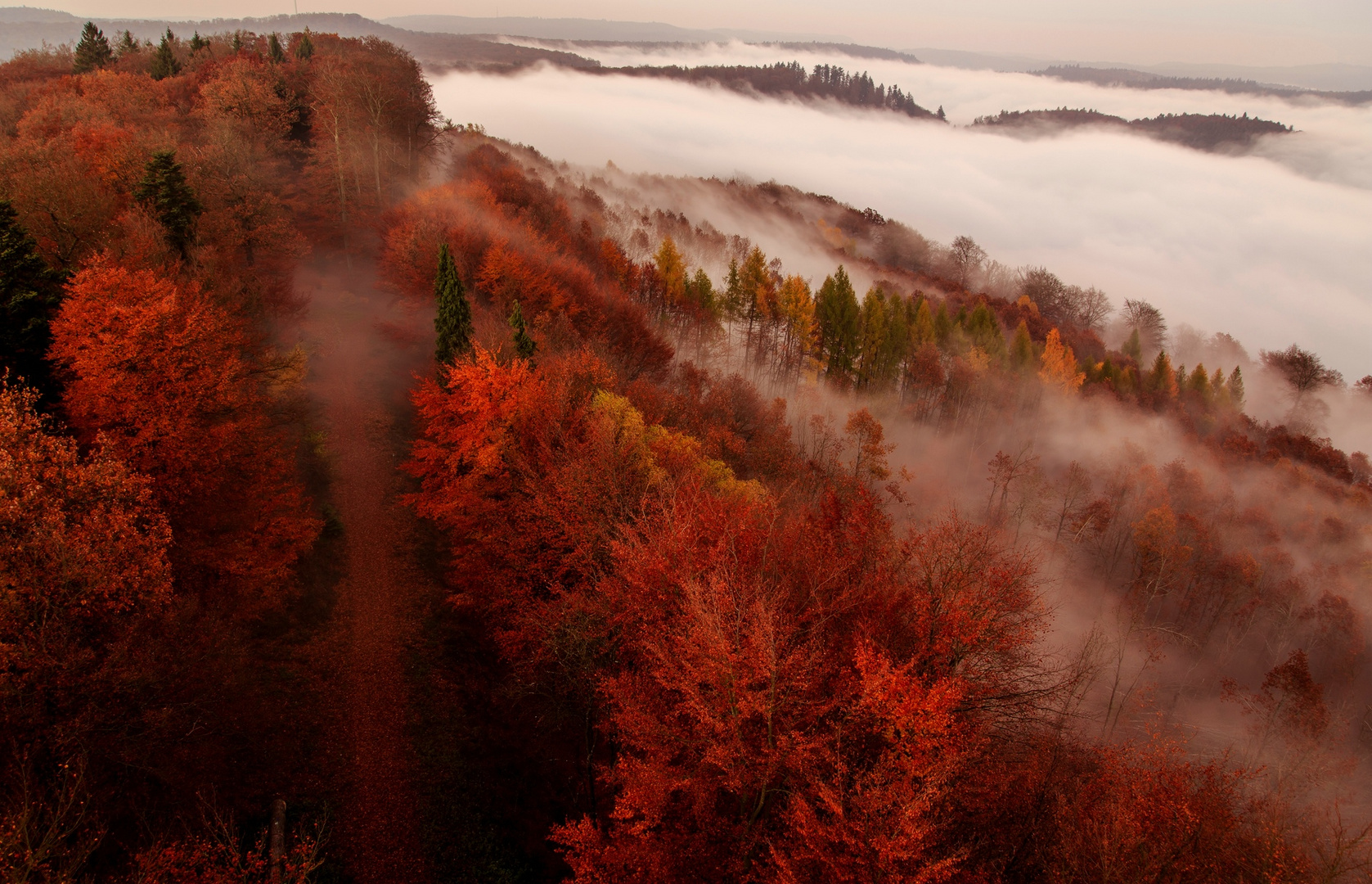 Herbstnebel