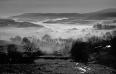 Herbstnebel