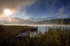 ~ HERBSTNEBEL ~