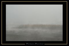 Herbstnebel