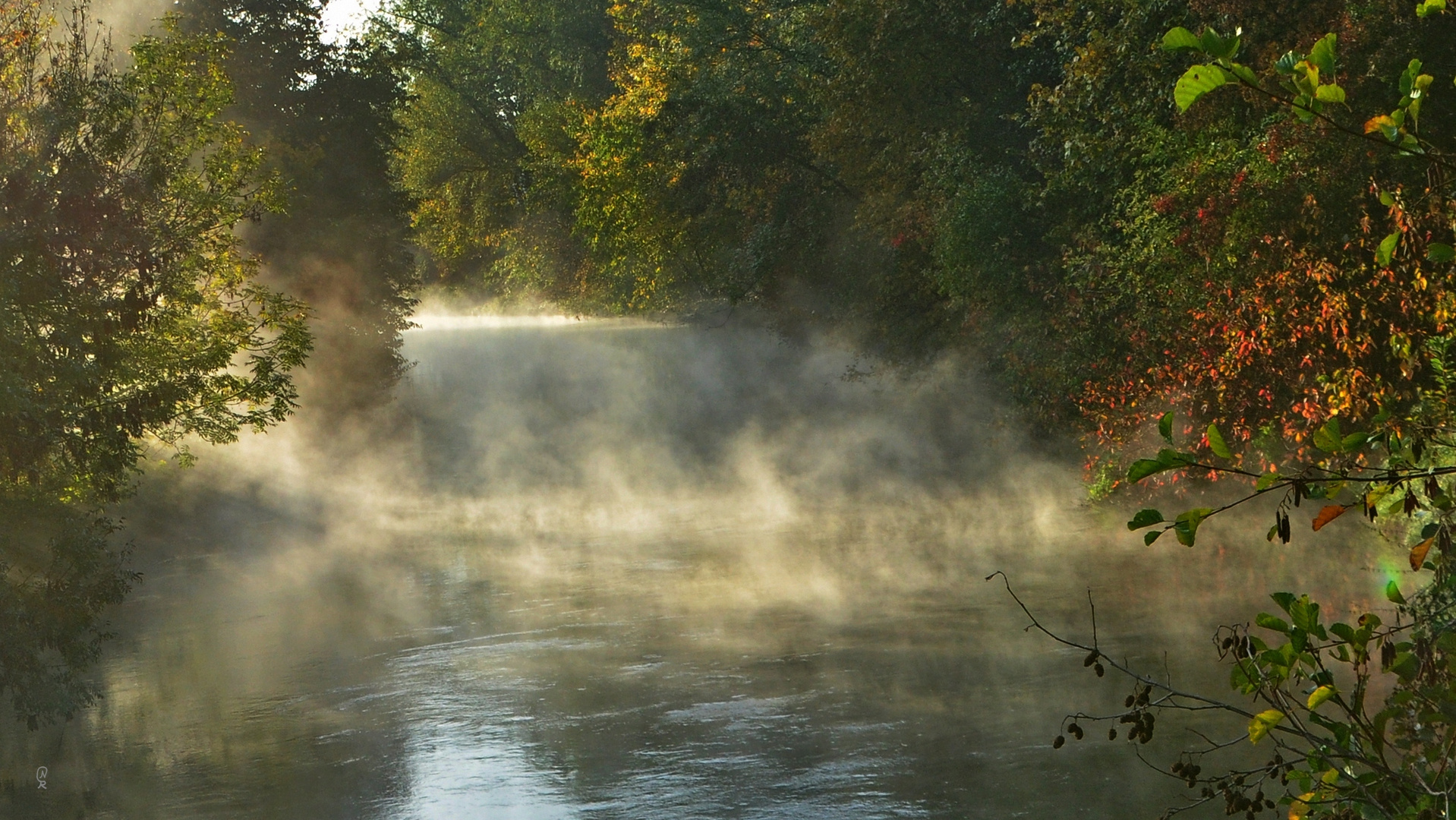 Herbstnebel