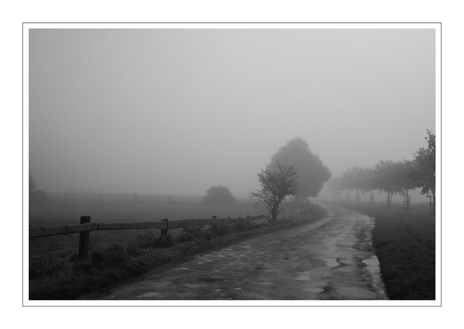 Herbstnebel 1