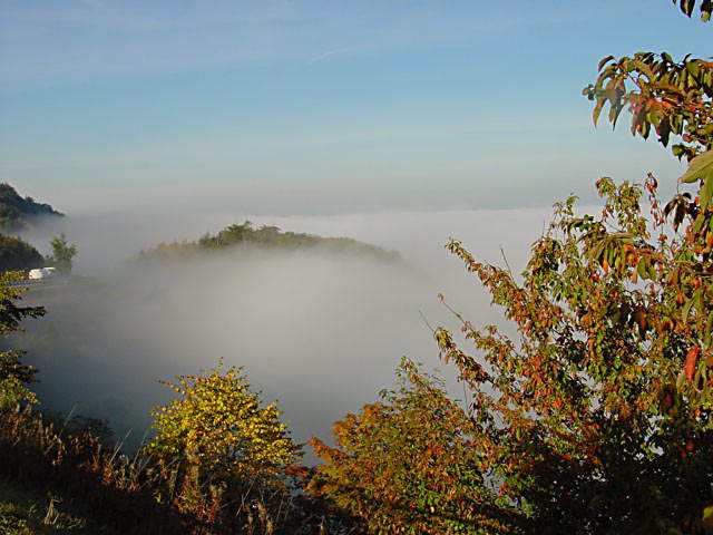 Herbstnebel 1