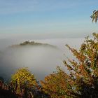 Herbstnebel 1