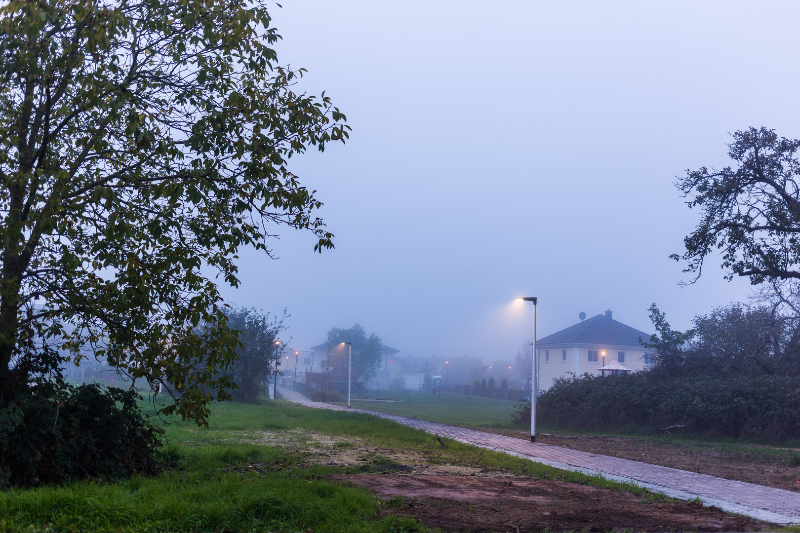 Herbstnebel 1