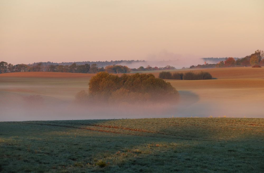 Herbstnebel