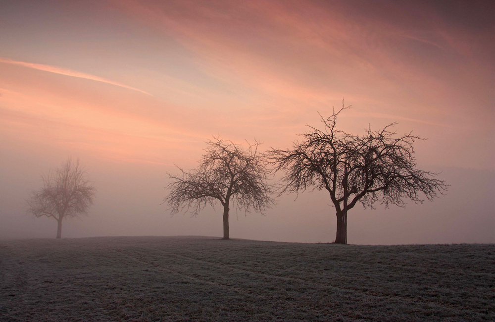 Herbstnebel...