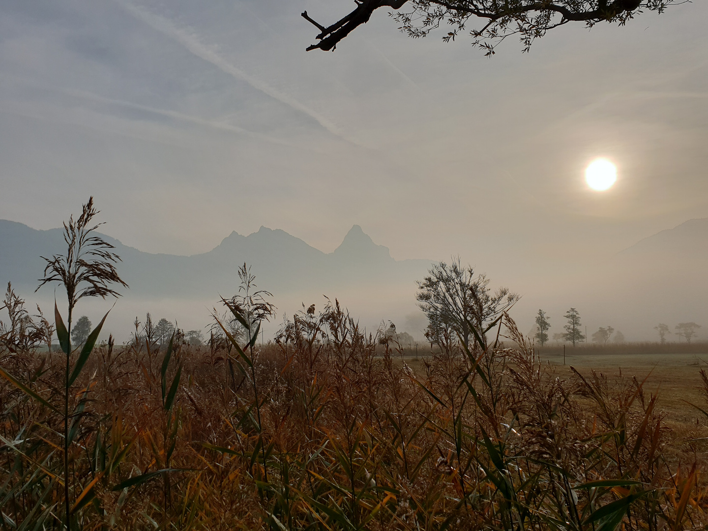 Herbstnebel