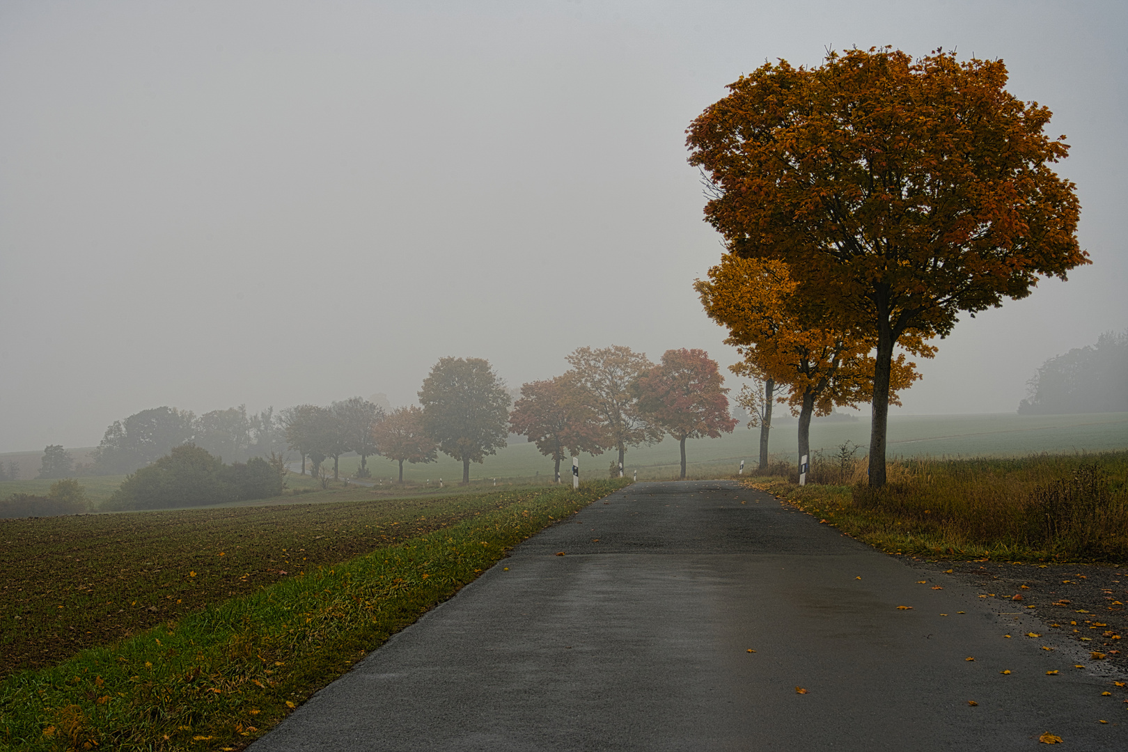 Herbstnebel