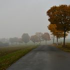 Herbstnebel