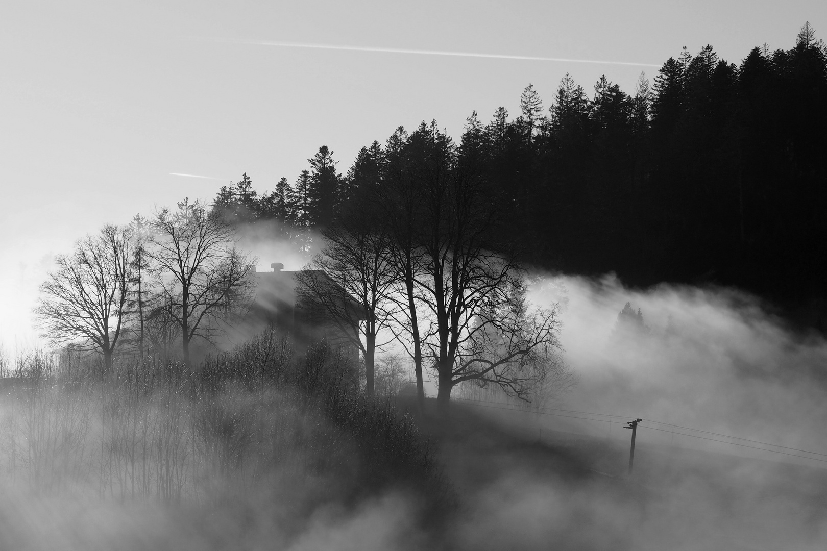 Herbstnebel