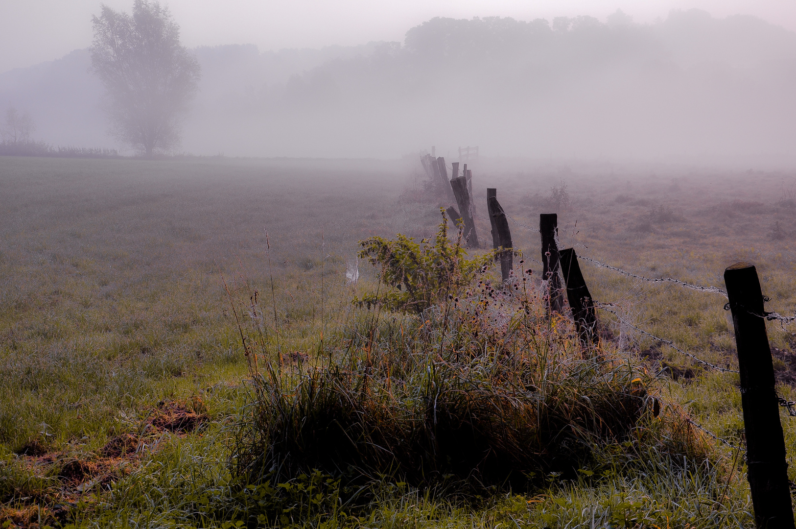 Herbstnebel