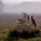 Herbstnebel