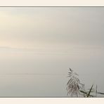 Herbstnebel